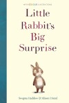 Book cover for Little Rabbit's Big Surprise