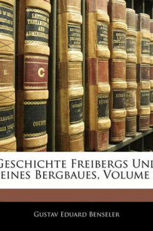 Cover of Geschichte Freibergs Und Seines Bergbaues, Zweite Abtheilung