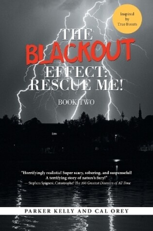 Cover of The Blackout Effect