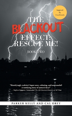 Book cover for The Blackout Effect