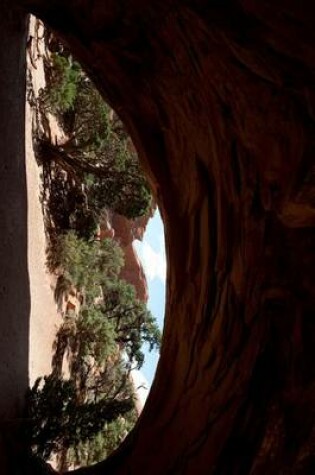 Cover of The Navajo Arch in Arches American National Park, Utah