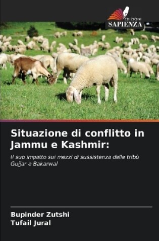 Cover of Situazione di conflitto in Jammu e Kashmir
