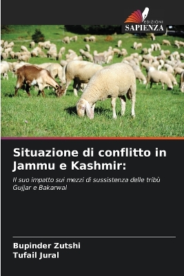 Book cover for Situazione di conflitto in Jammu e Kashmir