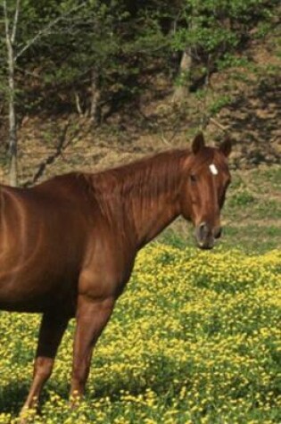 Cover of 2020 Daily Planner Horse Photo Equine Chestnut Yellow Flowers 388 Pages