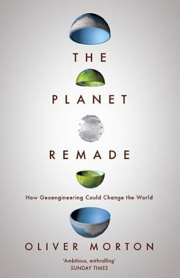 Book cover for The Planet Remade