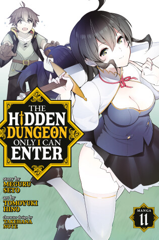 Cover of The Hidden Dungeon Only I Can Enter (Manga) Vol. 11