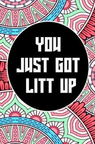 Cover of You Just Got Litt Up