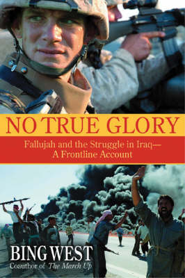 Book cover for No True Glory