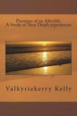 Cover of Promises of an Afterlife