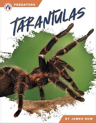 Cover of Tarantulas