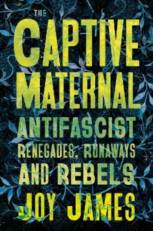 Cover of The Captive Maternal