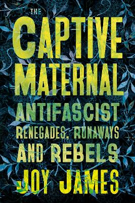 Book cover for The Captive Maternal