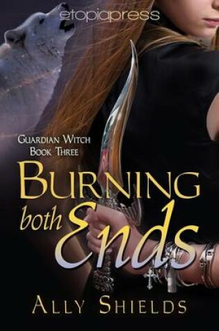 Cover of Burning Both Ends