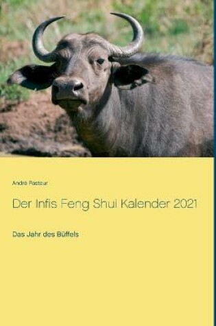 Cover of Der Infis Feng Shui Kalender 2021