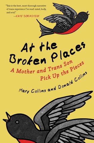 Cover of At the Broken Places