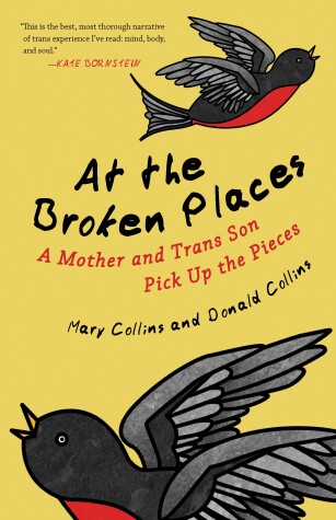 Book cover for At the Broken Places