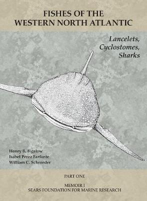 Cover of Lancelets, Cyclostomes, Sharks