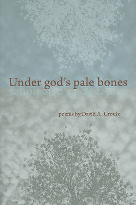 Book cover for Under God's Pale Bones