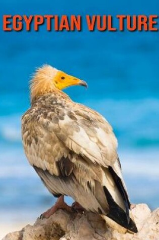 Cover of Egyptian Vulture