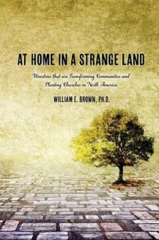 Cover of At Home in a Strange Land