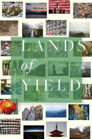 Cover of Lands of Yield