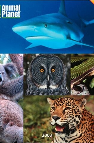 Cover of Animal Planet Calendar