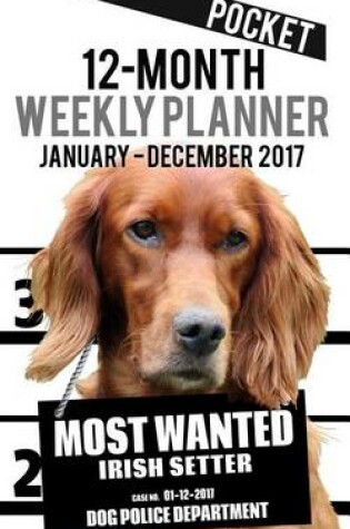 Cover of 2017 Pocket Weekly Planner - Most Wanted Irish Setter