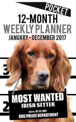 Cover of 2017 Pocket Weekly Planner - Most Wanted Irish Setter