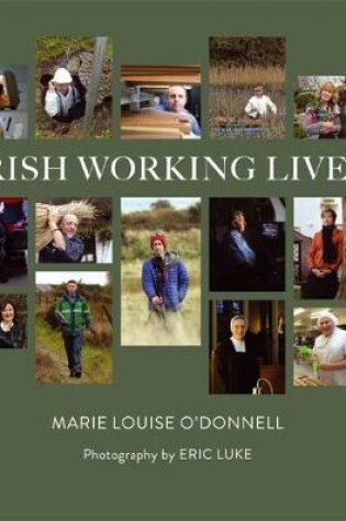 Cover of Irish Working Lives