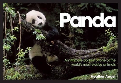Book cover for Panda