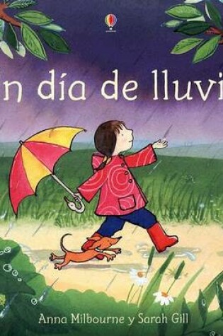 Cover of Un Dia de Lluvia