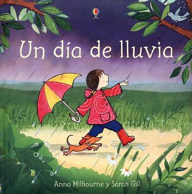 Book cover for Un Dia de Lluvia