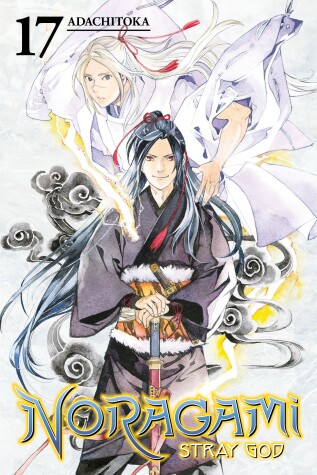 Book cover for Noragami: Stray God 17