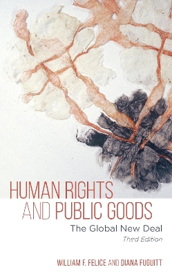 Book cover for Human Rights and Public Goods