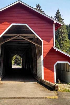 Book cover for Website Password Organizer Red Covered Bridge in Oregon