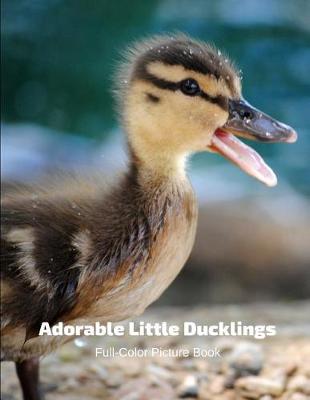 Book cover for Adorable Little Ducklings Full-Color Picture Book
