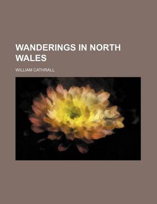 Book cover for Wanderings in North Wales