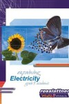 Book cover for Explaining Electricity