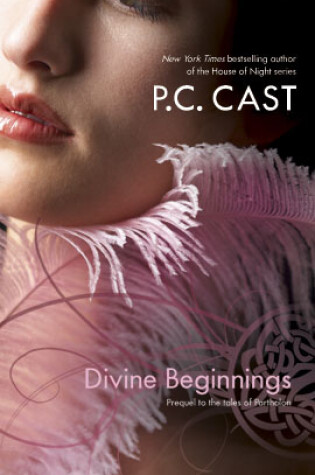 Cover of Divine Beginnings