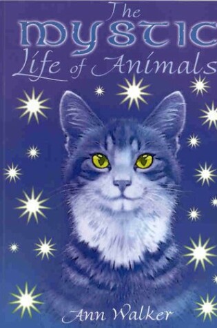 Cover of Mystic Life of Animals