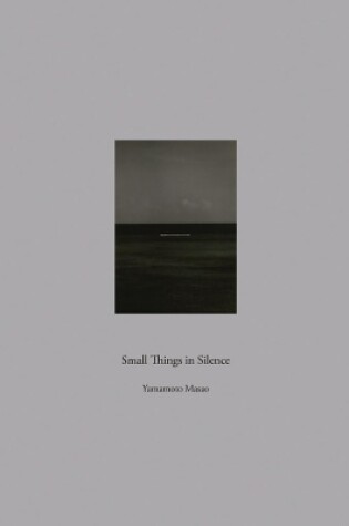 Cover of SmallThings in Silence