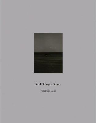 Book cover for SmallThings in Silence