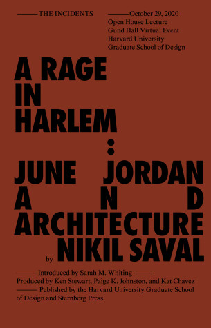 Book cover for Rage in Harlem