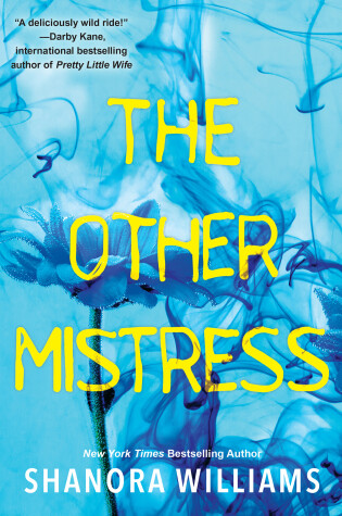 Cover of The Other Mistress
