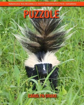 Book cover for Puzzole