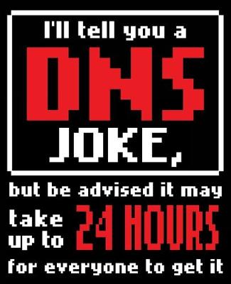 Book cover for I'll Tell You A DNS Joke, But Be Advised It May Take Up To 24 Hours For Everyone