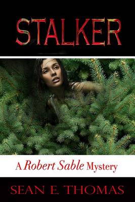 Book cover for Stalker