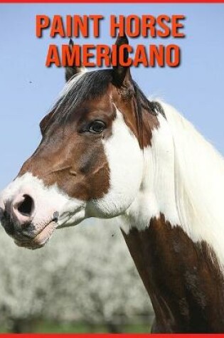 Cover of Paint Horse Americano