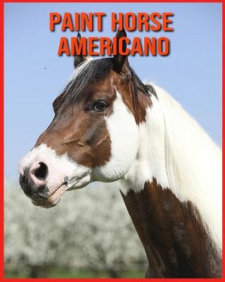 Book cover for Paint Horse Americano