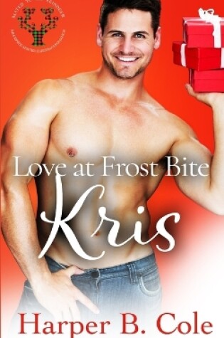 Cover of Love At Frost Bite